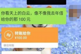 麟游如果欠债的人消失了怎么查找，专业讨债公司的找人方法