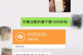 麟游麟游的要账公司在催收过程中的策略和技巧有哪些？